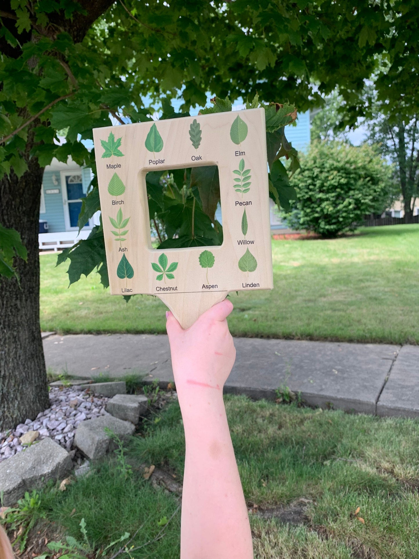 Nature guide finder, leaf finder, cloud viewer, cloud identification guide, nature guide frame, homeschooling materials, Montessori toy