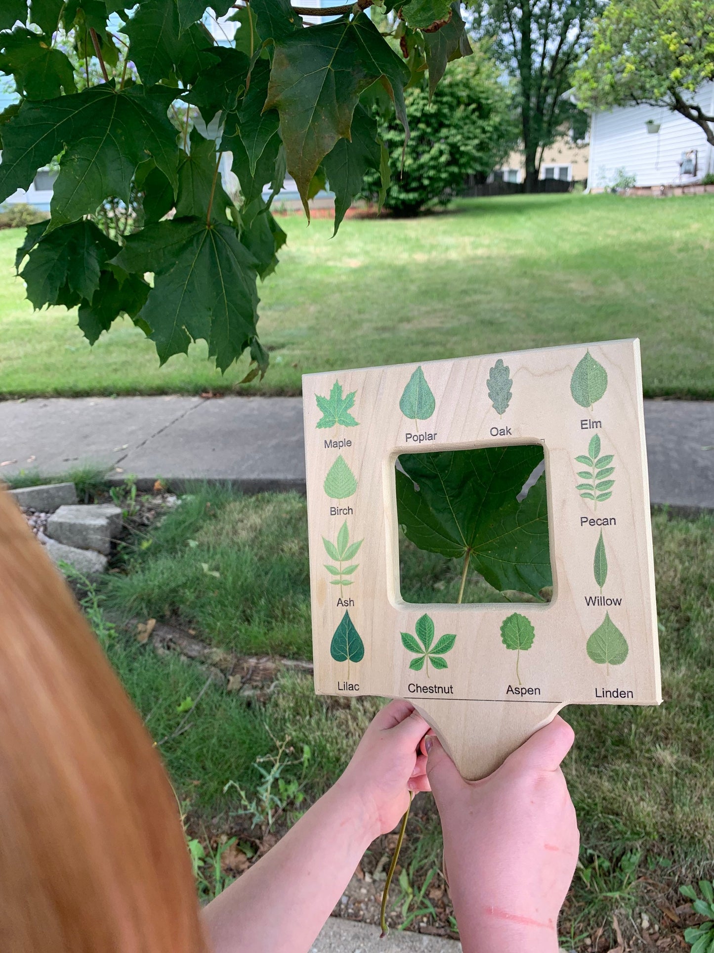 Nature guide finder, leaf finder, cloud viewer, cloud identification guide, nature guide frame, homeschooling materials, Montessori toy