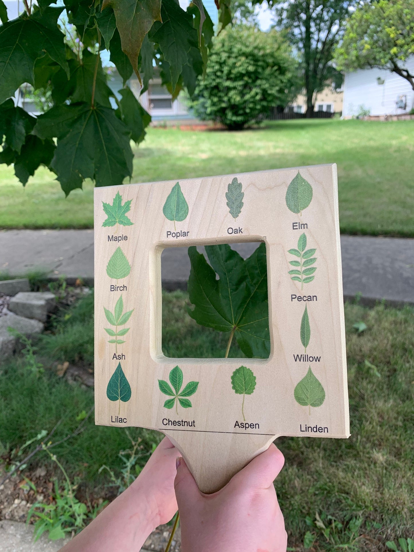 Nature guide finder, leaf finder, cloud viewer, cloud identification guide, nature guide frame, homeschooling materials, Montessori toy