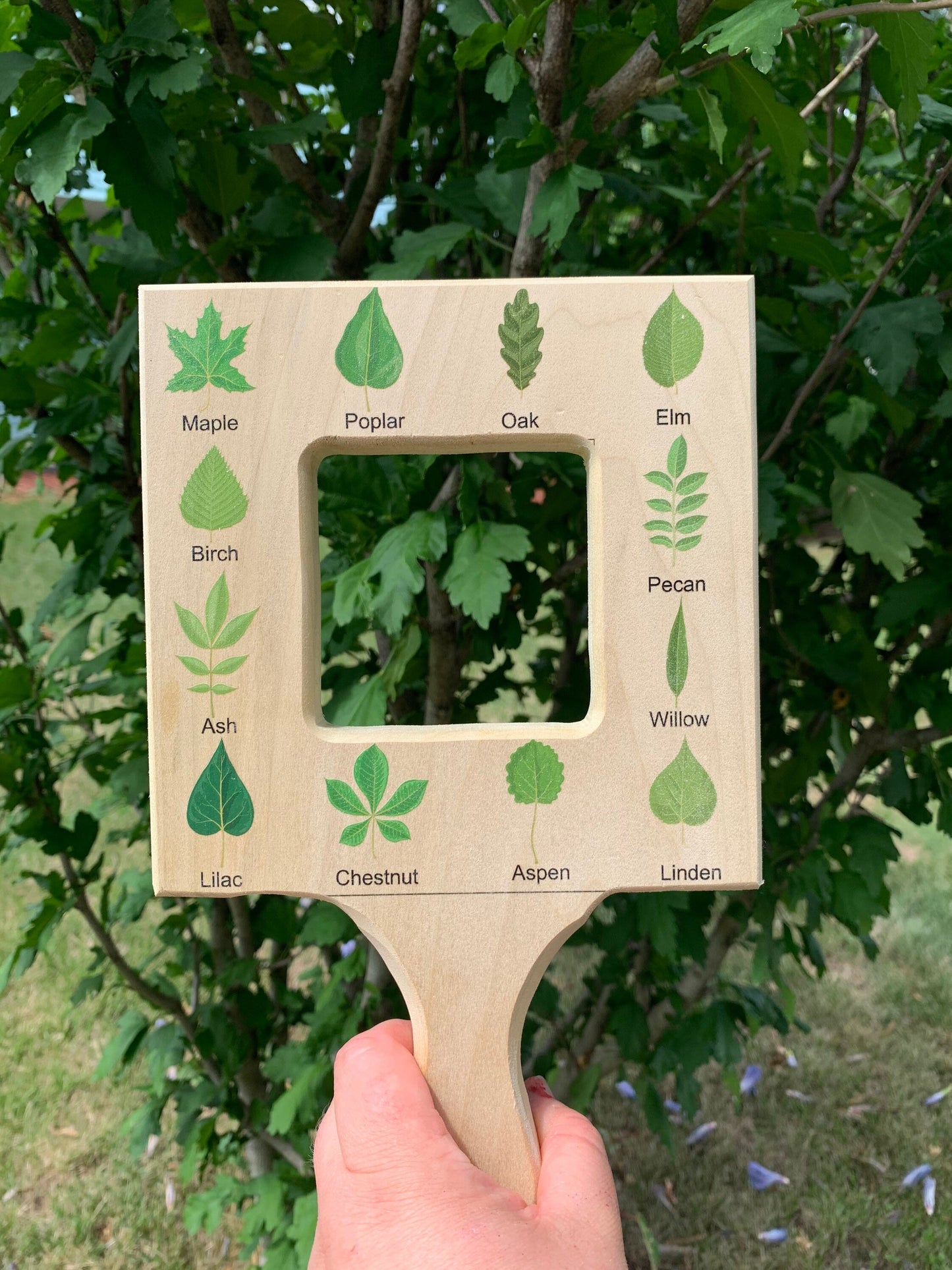 Nature guide finder, leaf finder, cloud viewer, cloud identification guide, nature guide frame, homeschooling materials, Montessori toy