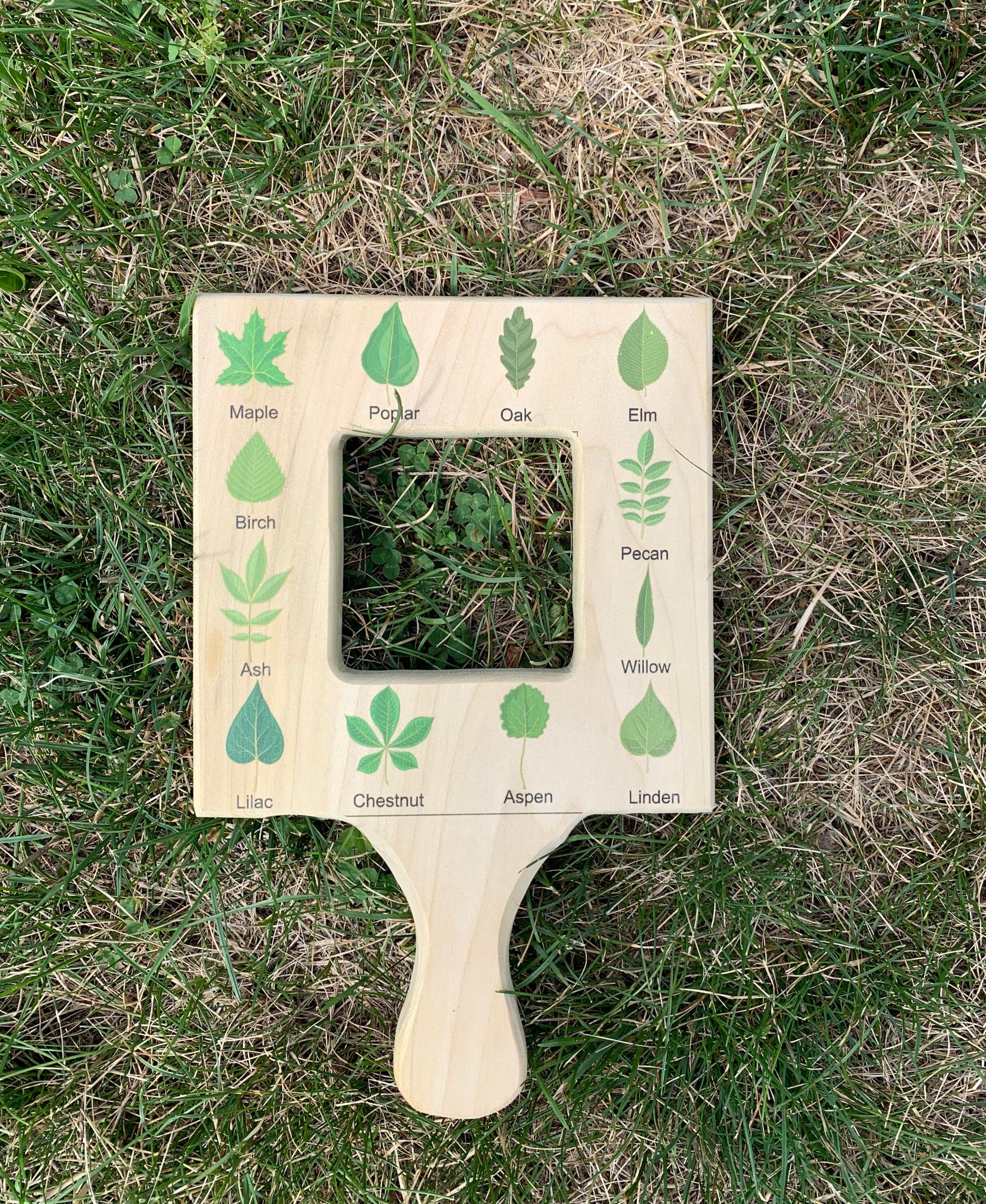 Nature guide finder, leaf finder, cloud viewer, cloud identification guide, nature guide frame, homeschooling materials, Montessori toy