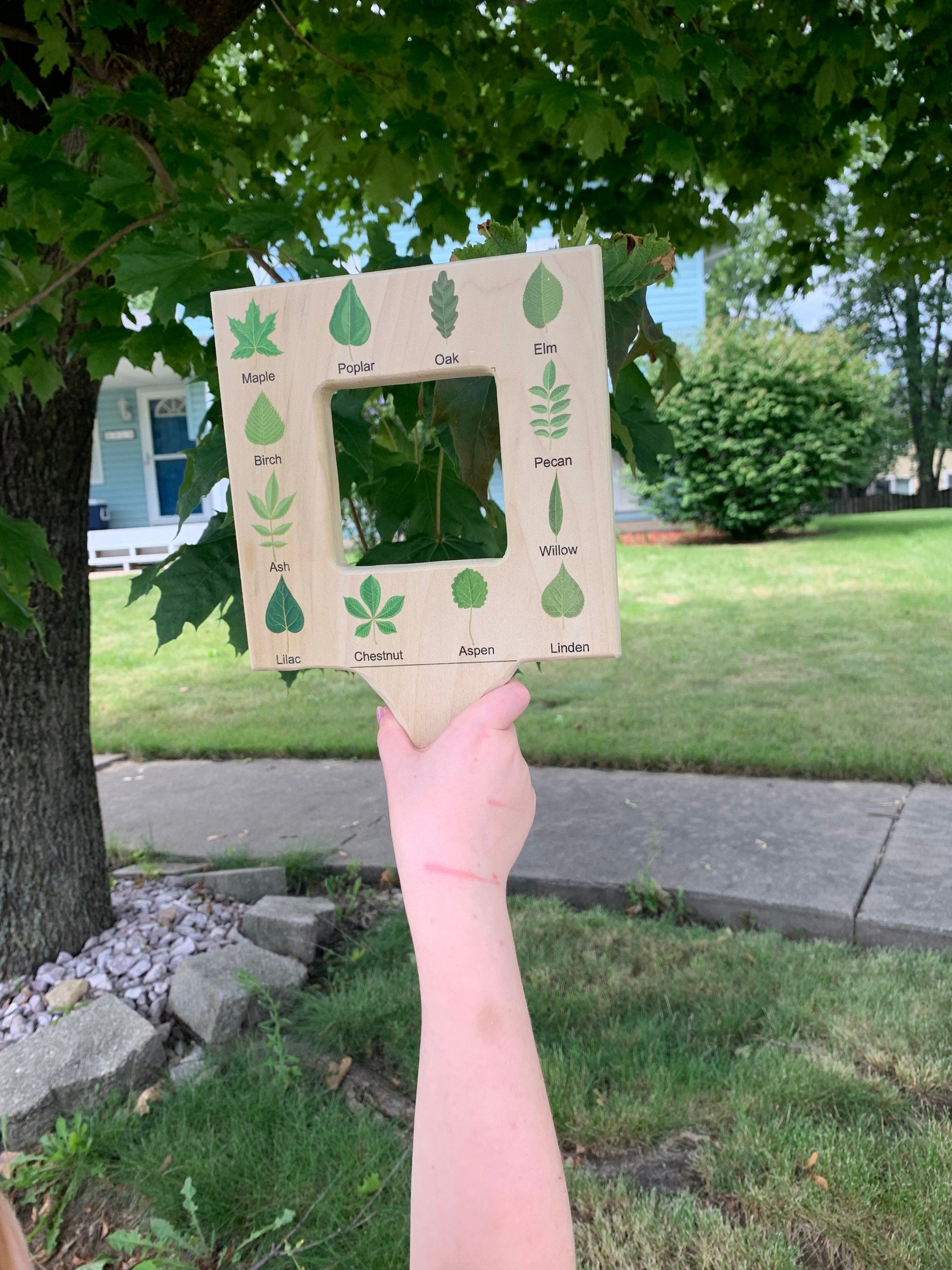 Nature guide finder, leaf finder, cloud viewer, cloud identification guide, nature guide frame, homeschooling materials, Montessori toy