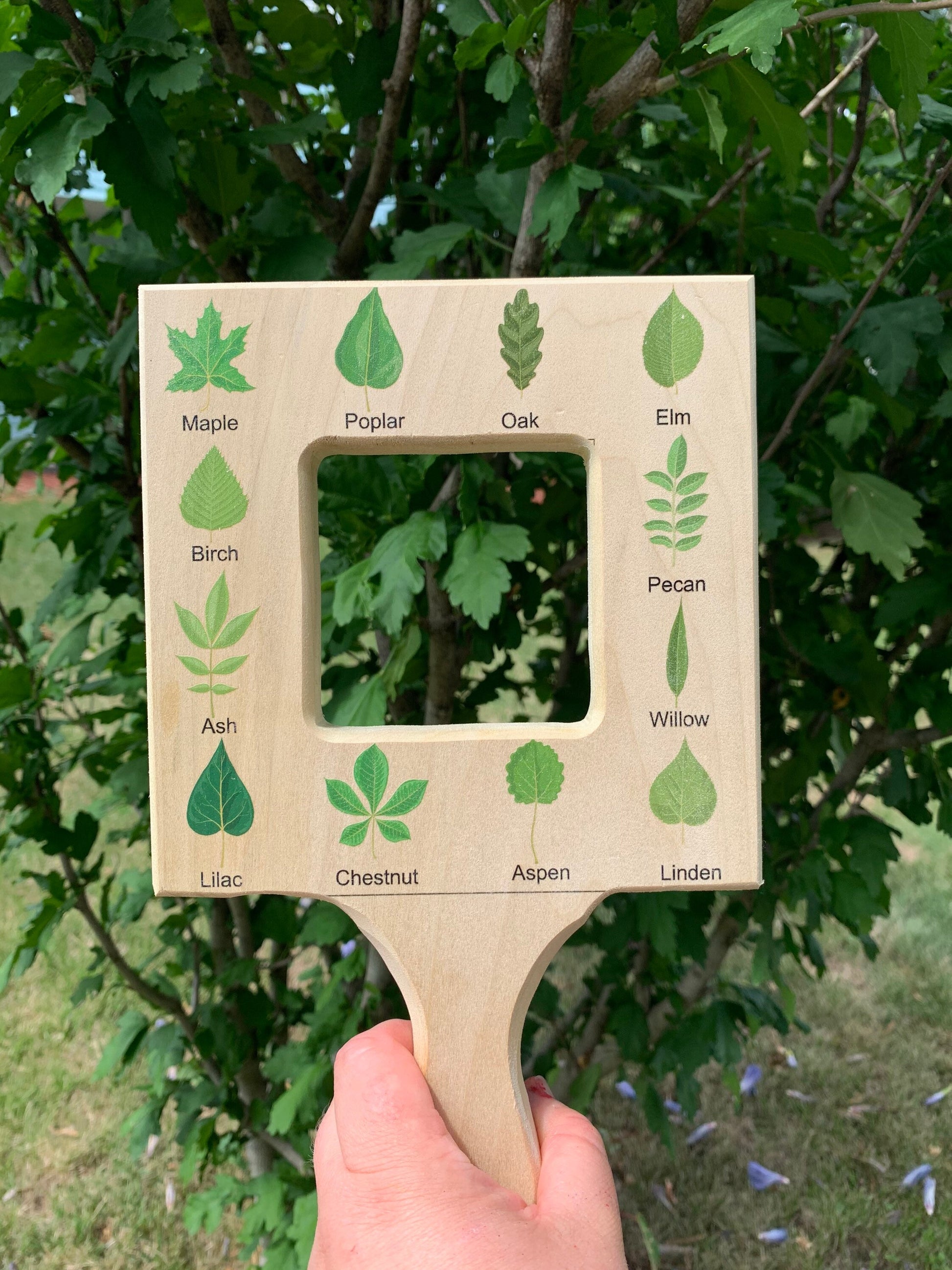 Nature guide finder, leaf finder, cloud viewer, cloud identification guide, nature guide frame, homeschooling materials, Montessori toy
