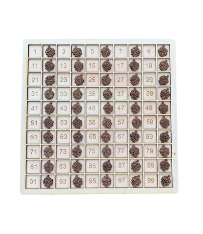 Montessori Math 100 board Set, wooden multiplication table, 100 frame, 100 board, wooden toys, educational toy, original hunderd board