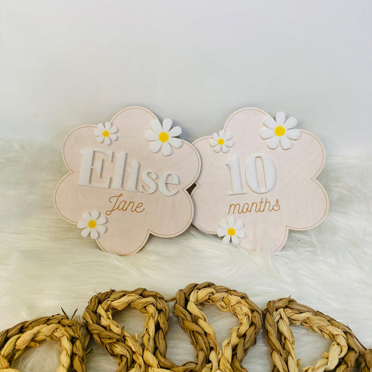 Name Sign Baby Shower, Baby Month Sign Gift, Birth Announcement Sign, Monthly Baby Marker, Milestone Baby Photo Prop, Wooden Milestone